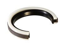 10-X-9.271-X-.750-SPGT-PISTON-SEAL-(CSI1000SPGT)