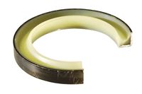 1-X-1-1/4-X-1/8-GREASE-SEAL---NO-SPRING-(RS100125125V)